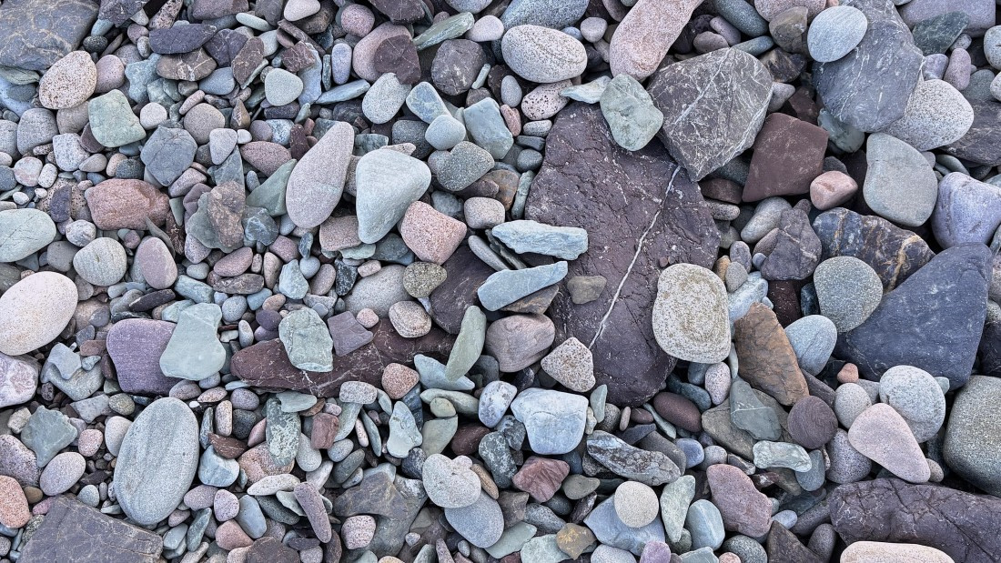 PLA11-24, Day 5,  IMG_E4865_© Ursula Tscherter © Ursula Tscherter - Oceanwide Expeditions.jpg