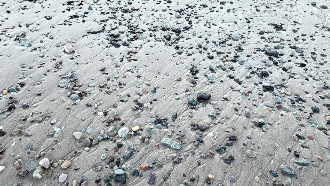 PLA11-24, Day 5,  IMG_E4873_© Ursula Tscherter © Ursula Tscherter - Oceanwide Expeditions.jpg