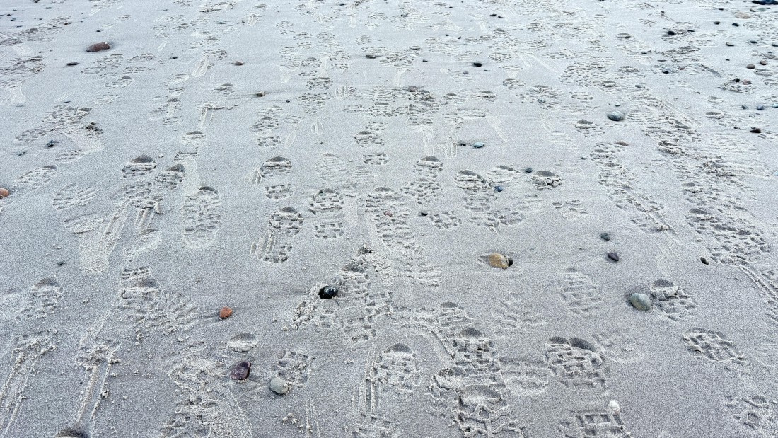 PLA11-24, Day 5,  IMG_E4876_© Ursula Tscherter © Ursula Tscherter - Oceanwide Expeditions.jpg