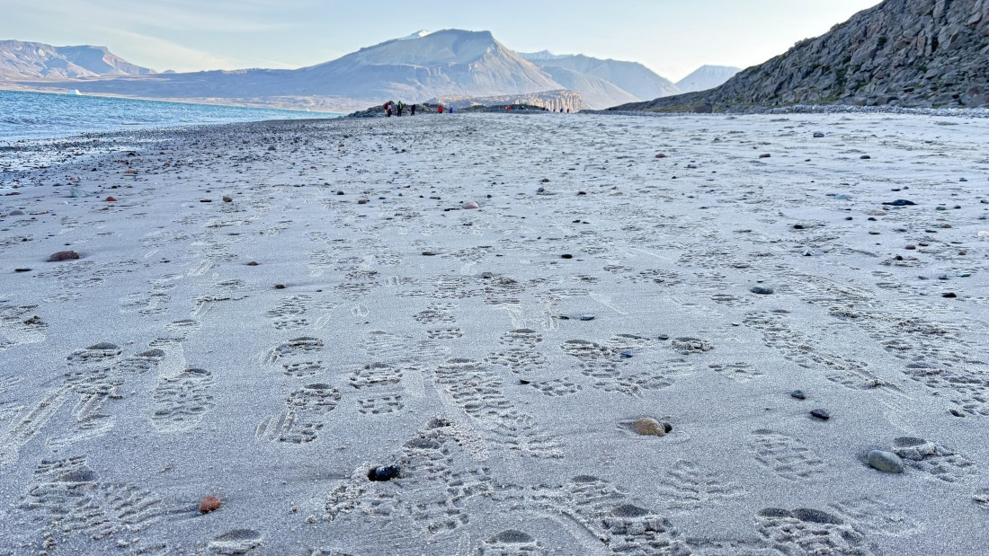 PLA11-24, Day 5,  IMG_E4878_© Ursula Tscherter © Ursula Tscherter - Oceanwide Expeditions.jpg