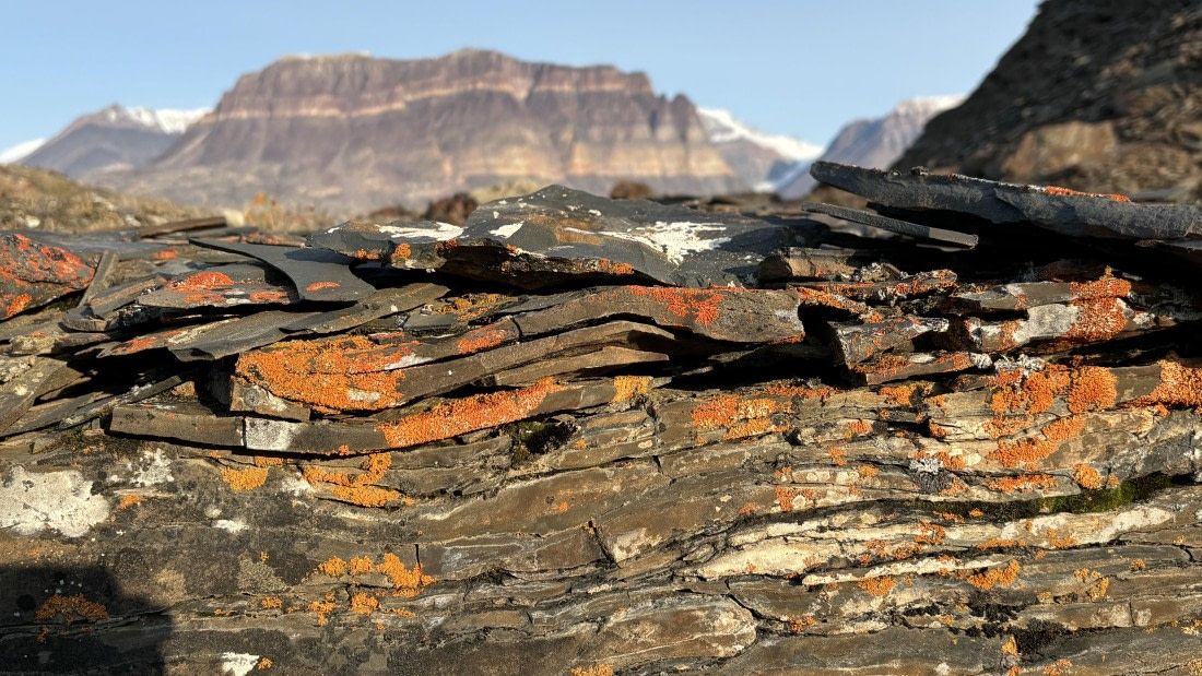 PLA11-24, Day 6,  IMG_E4904_© Ursula Tscherter (2) © Ursula Tscherter - Oceanwide Expeditions.jpg