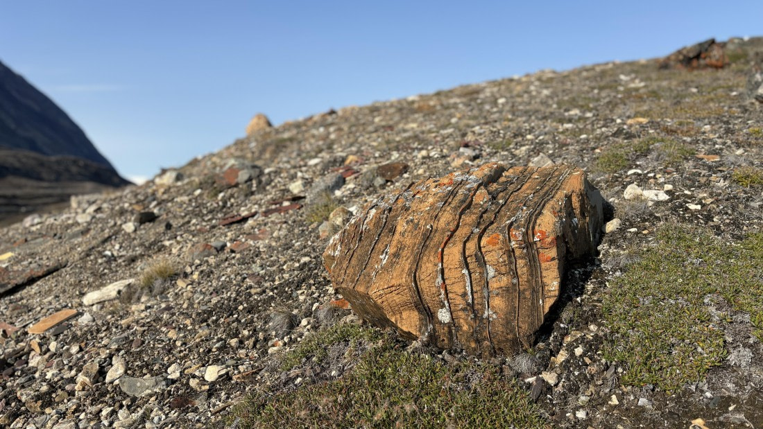 PLA11-24, Day 6,  IMG_E4929_© Ursula Tscherter (2) © Ursula Tscherter - Oceanwide Expeditions.jpg