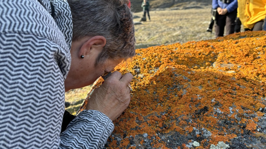 PLA11-24, Day 6,  IMG_E4939_© Ursula Tscherter (2) © Ursula Tscherter - Oceanwide Expeditions.jpg