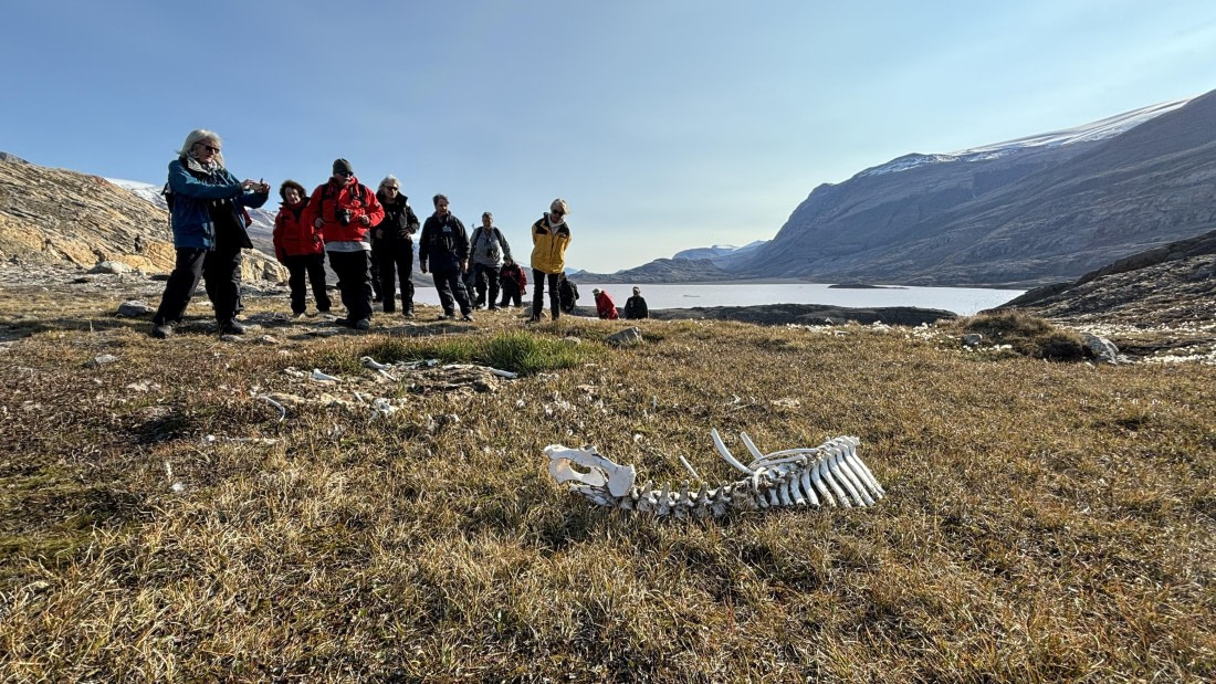PLA11-24, Day 6,  IMG_E4975_© Ursula Tscherter (2) © Ursula Tscherter - Oceanwide Expeditions.jpg