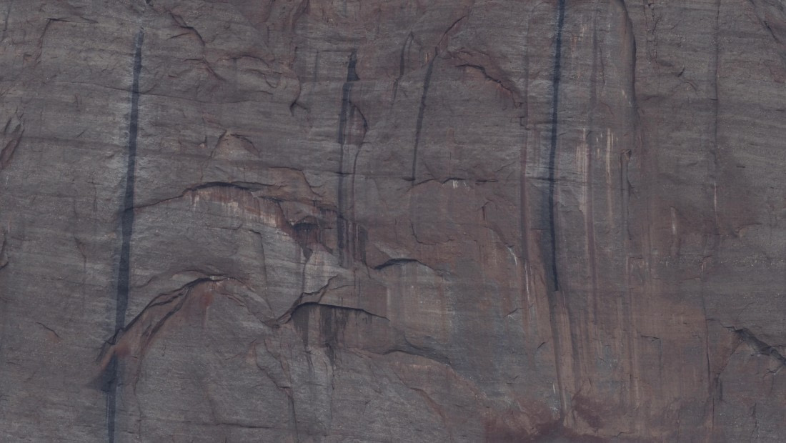 PLA11-24, Day 7, _1010089_© Ursula Tscherter © Ursula Tscherter - Oceanwide Expeditions.JPG