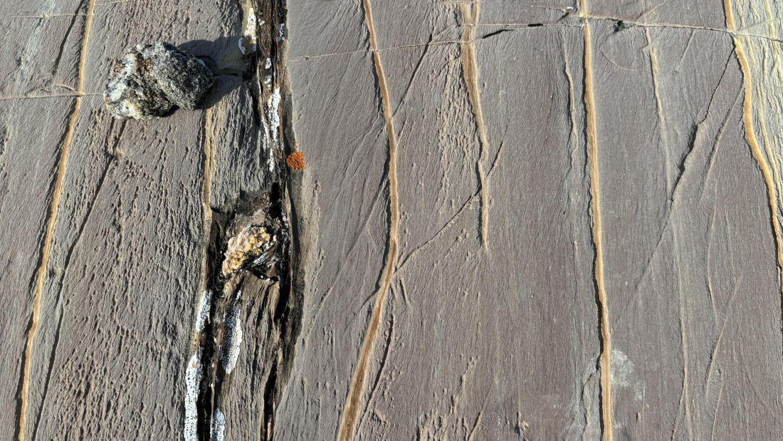 PLA11-24, Day 8,  IMG_E5470_© Ursula Tscherter © Ursula Tscherter - Oceanwide Expeditions.jpg