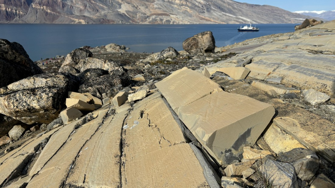 PLA11-24, Day 8,  IMG_E5473_© Ursula Tscherter © Ursula Tscherter - Oceanwide Expeditions.jpg