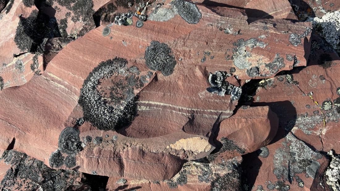 PLA11-24, Day 8,  IMG_E5506_© Ursula Tscherter © Ursula Tscherter - Oceanwide Expeditions.jpg