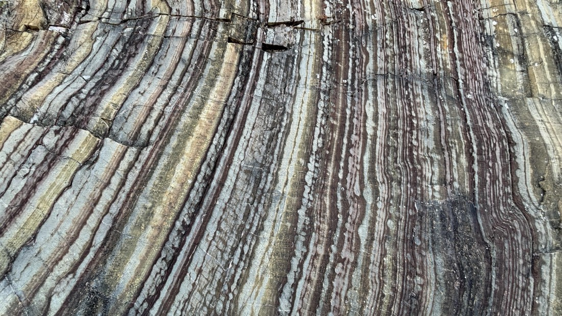 PLA11-24, Day 8,  IMG_E5514_© Ursula Tscherter © Ursula Tscherter - Oceanwide Expeditions.jpg