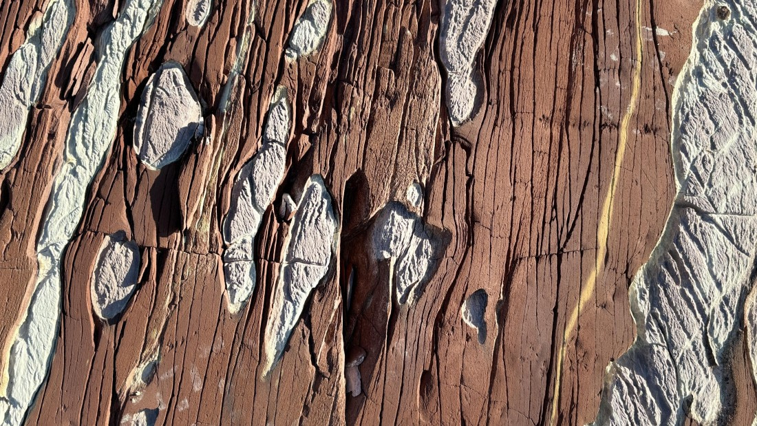 PLA11-24, Day 8,  IMG_E5650_© Ursula Tscherter © Ursula Tscherter - Oceanwide Expeditions.jpg