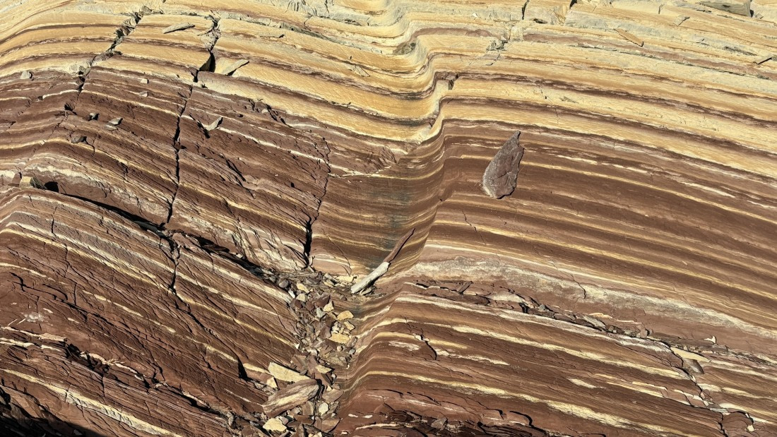 PLA11-24, Day 8,  IMG_E5699_© Ursula Tscherter © Ursula Tscherter - Oceanwide Expeditions.jpg