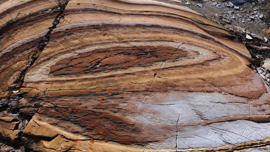 PLA11-24, Day 8, Bullseye rock 16x9 © John Rogers - Oceanwide Expeditions.JPG