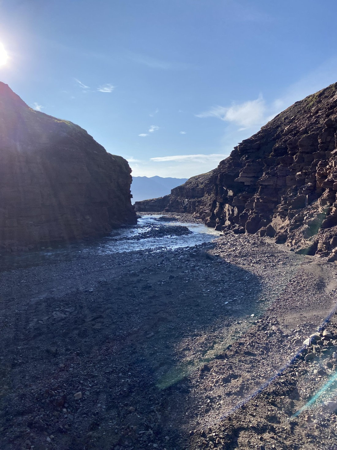 PLA11-24, Day 9,  IMG_6833 © Unknown photographer - Oceanwide Expeditions.jpg