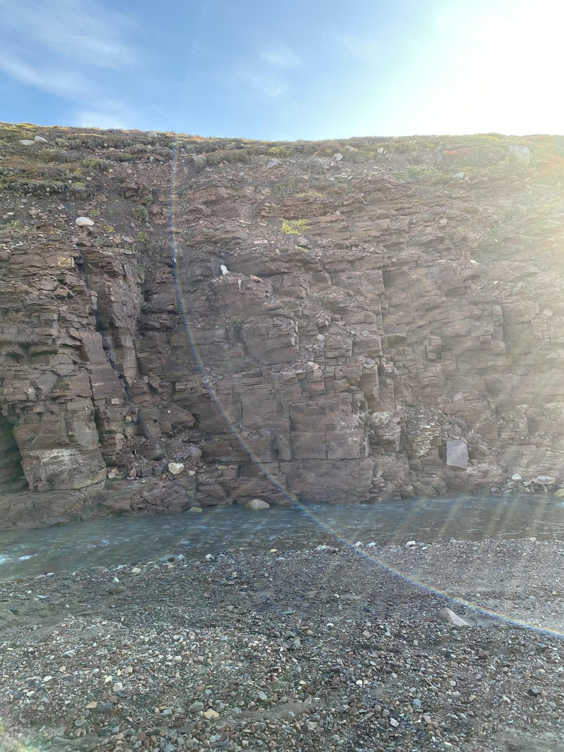 PLA11-24, Day 9,  IMG_6835 © Unknown photographer - Oceanwide Expeditions.jpg