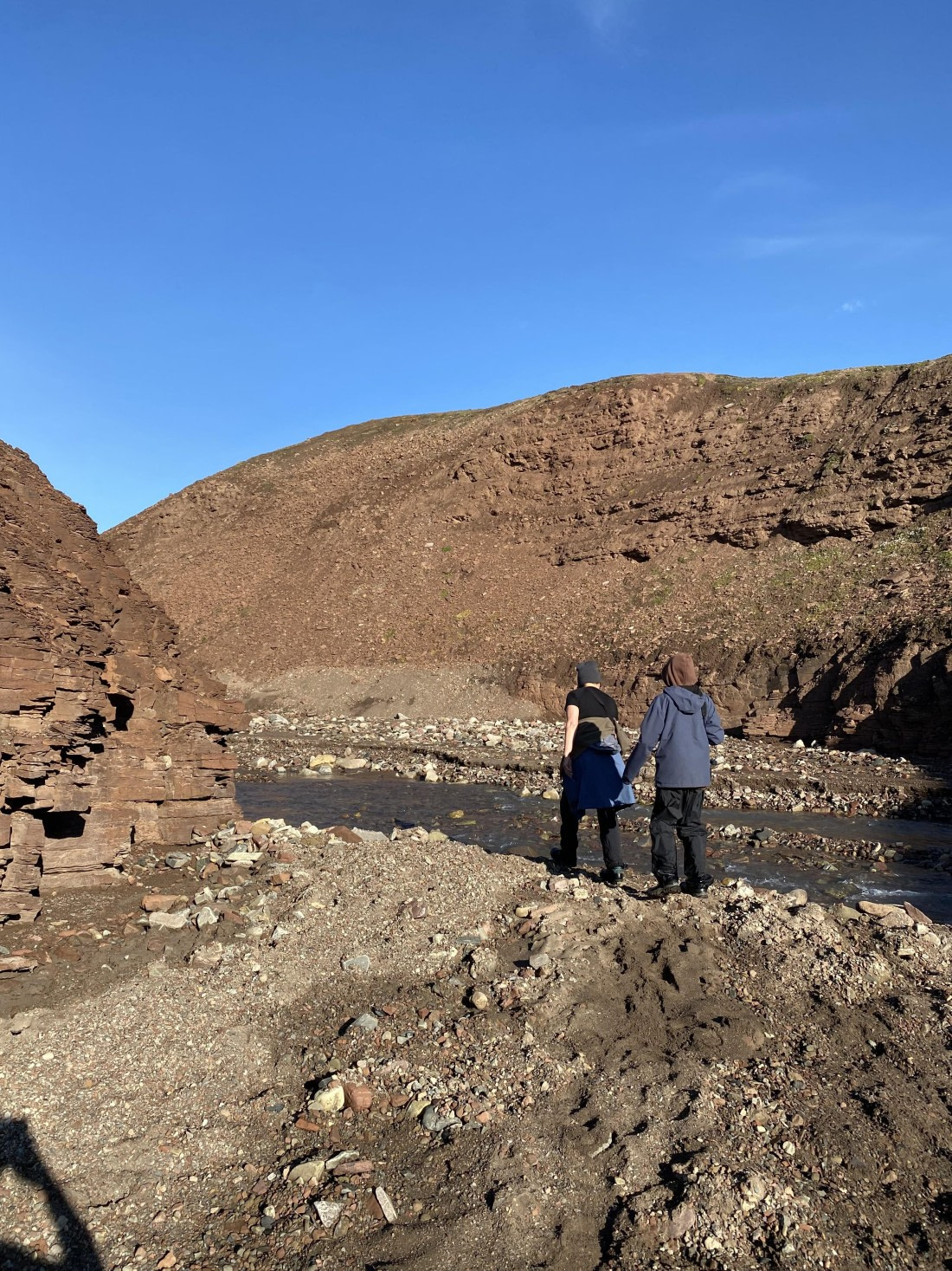 PLA11-24, Day 9,  IMG_6836 © Unknown photographer - Oceanwide Expeditions.jpg