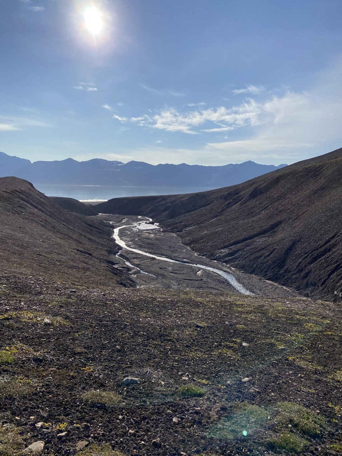 PLA11-24, Day 9,  IMG_6837 © Unknown photographer - Oceanwide Expeditions.jpg