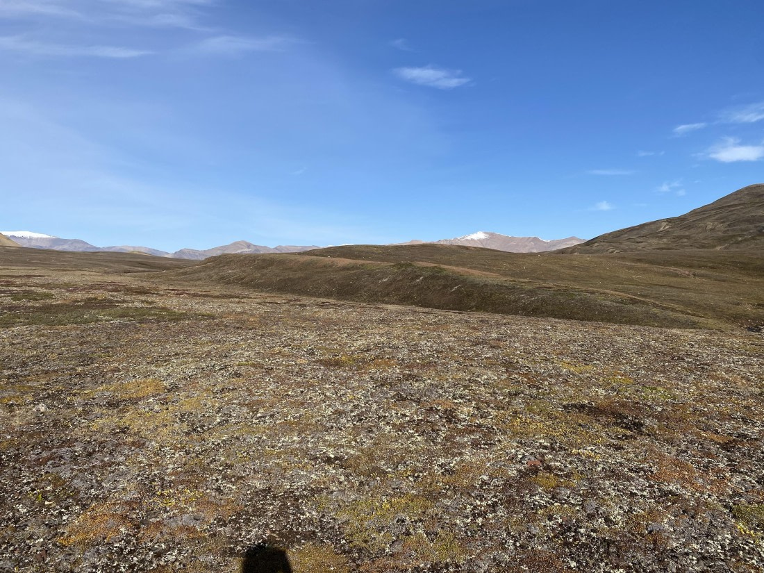 PLA11-24, Day 9,  IMG_6839 © Unknown photographer - Oceanwide Expeditions.jpg