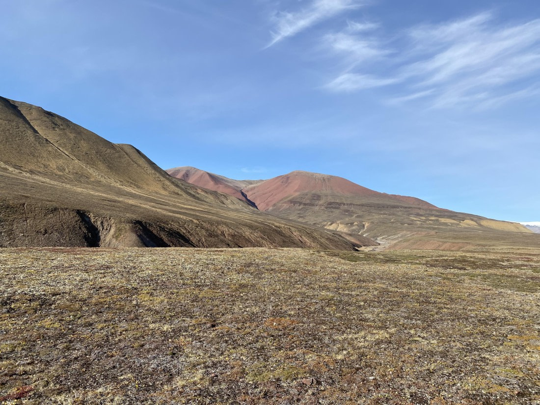 PLA11-24, Day 9,  IMG_6840 © Unknown photographer - Oceanwide Expeditions.jpg