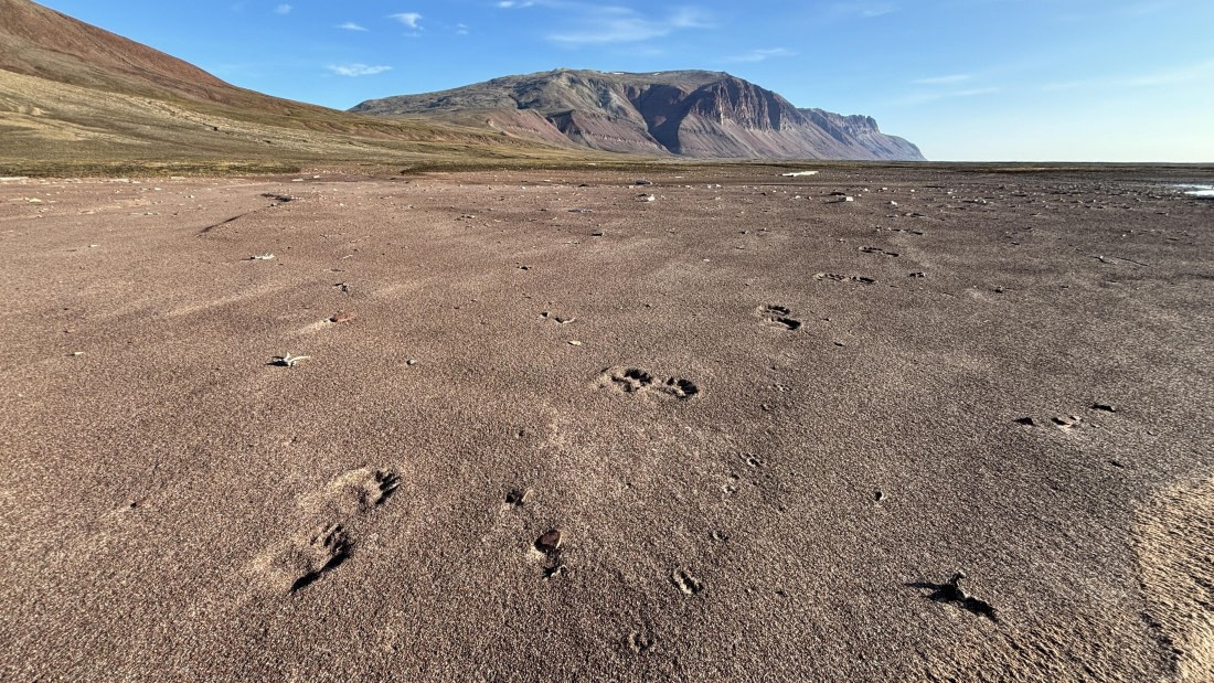 PLA11-24, Day 9,  IMG_E5737_© Ursula Tscherter © Ursula Tscherter - Oceanwide Expeditions.jpg