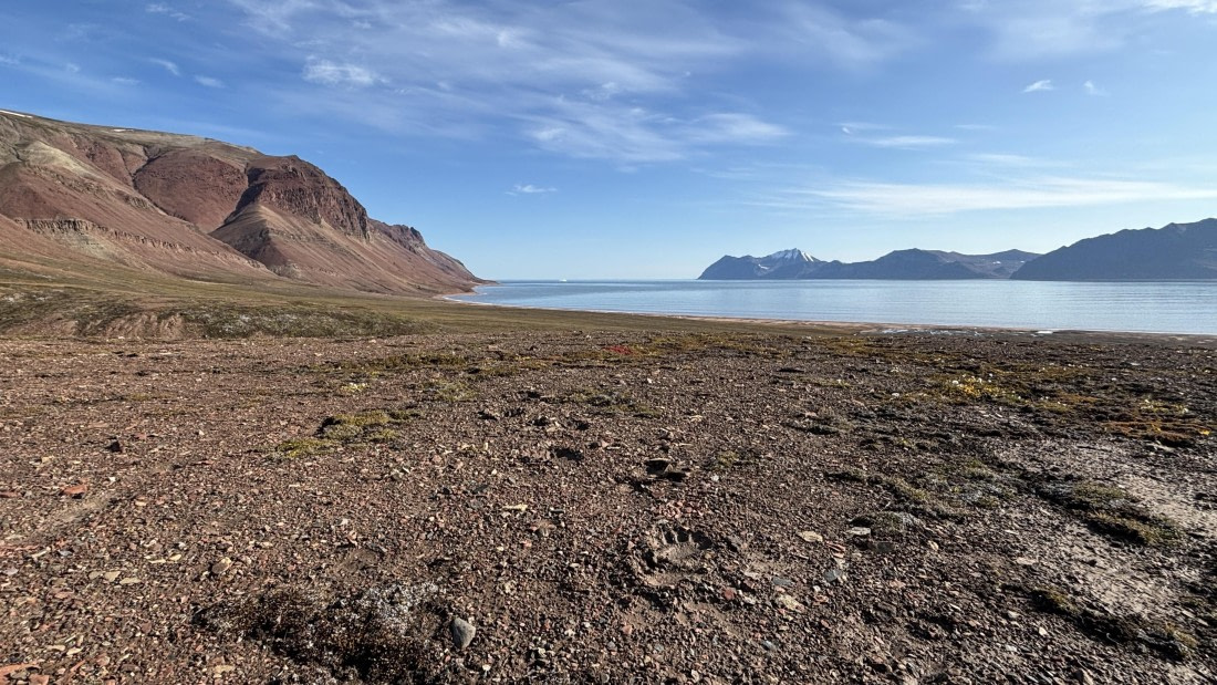 PLA11-24, Day 9,  IMG_E5842_© Ursula Tscherter © Ursula Tscherter - Oceanwide Expeditions.jpg