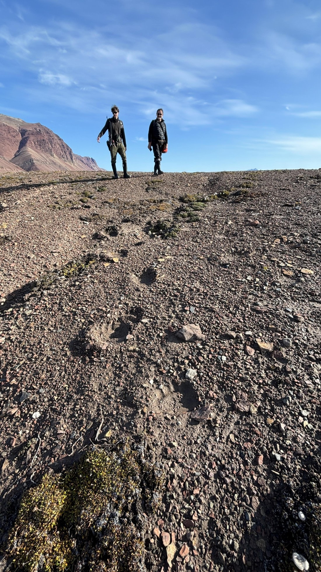 PLA11-24, Day 9,  IMG_E5845_© Ursula Tscherter © Ursula Tscherter - Oceanwide Expeditions.jpg