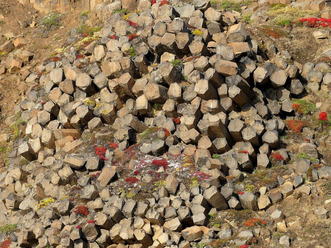 PLA11-24, Day 10, Basalt column ends 1 © Unknown photographer - Oceanwide Expeditions.JPG