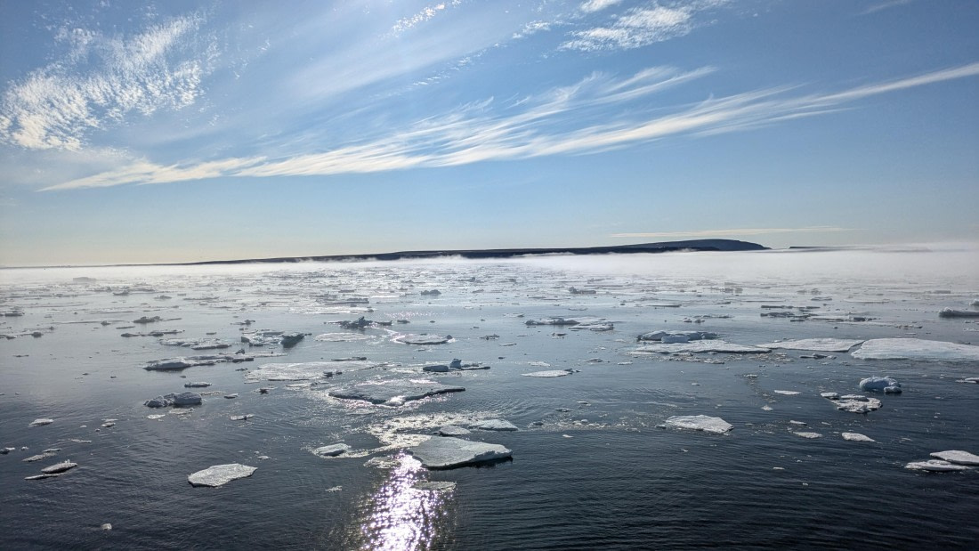 HDS12-24, Day 4,  PXL_20240828_122328801 © Unknown photographer - Oceanwide Expeditions.jpg
