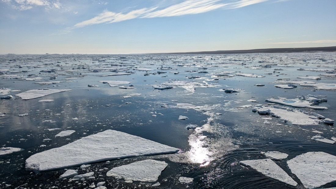 HDS12-24, Day 4,  PXL_20240828_123406043 © Unknown photographer - Oceanwide Expeditions.jpg