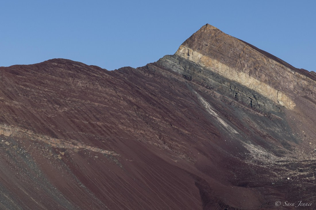 HDS12-24, Day 6,  Blomsterbugten 1 © Sara Jenner - Oceanwide Expeditions.jpg
