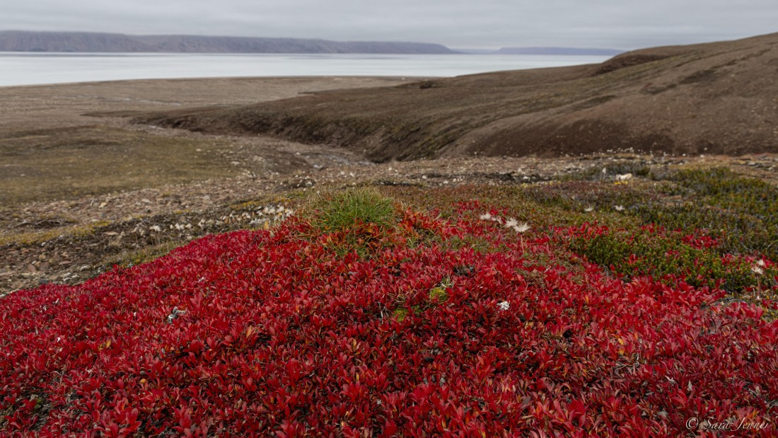 HDS12-24, Day 7,  Fleming Fjord 1 © Sara Jenner - Oceanwide Expeditions.jpg