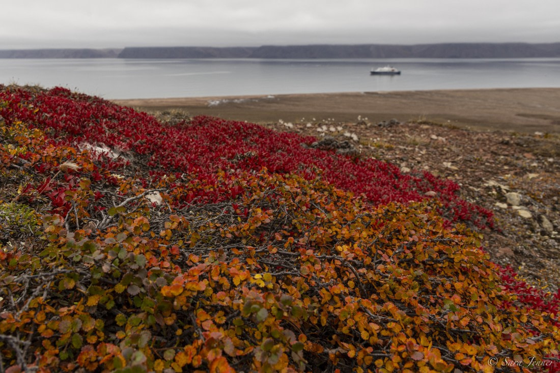 HDS12-24, Day 7,  Fleming Fjord 2 © Sara Jenner - Oceanwide Expeditions.jpg