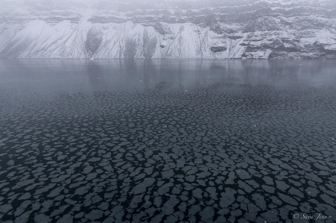 HDS12-24, Day 12,  Vikingebugt 2 © Sara Jenner - Oceanwide Expeditions.jpg