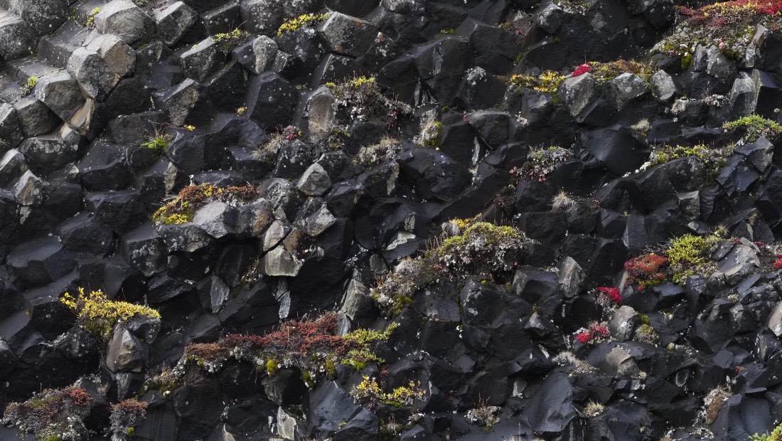 PLA12-24, Day 3,  _9020133_© Ursula Tscherter © Ursula Tscherter - Oceanwide Expeditions.JPG