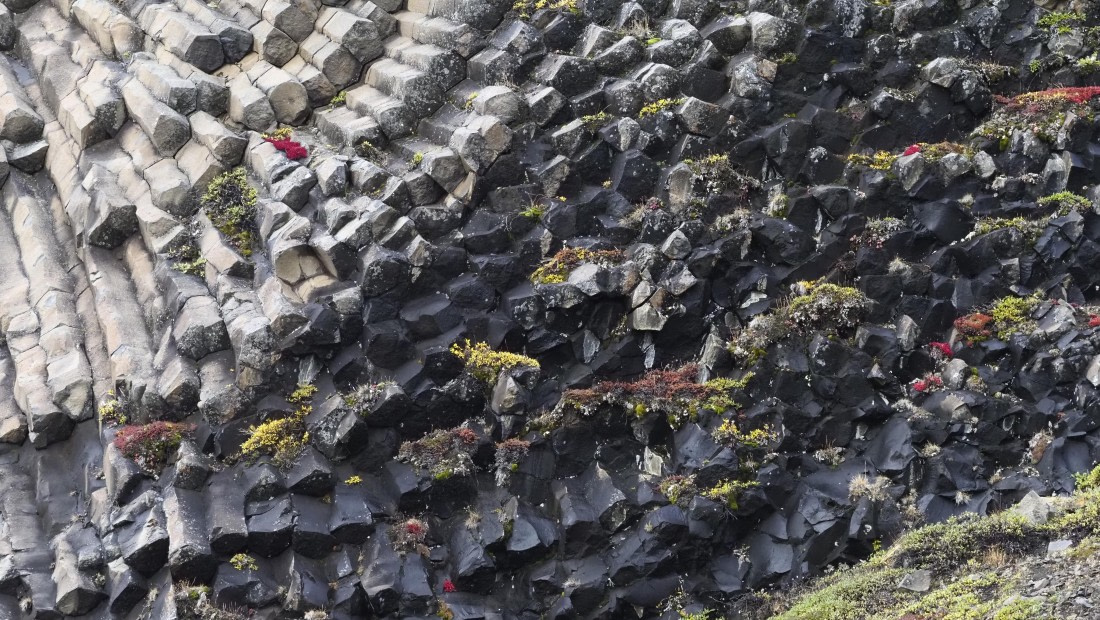 PLA12-24, Day 3,  _9020137_© Ursula Tscherter © Ursula Tscherter - Oceanwide Expeditions.JPG