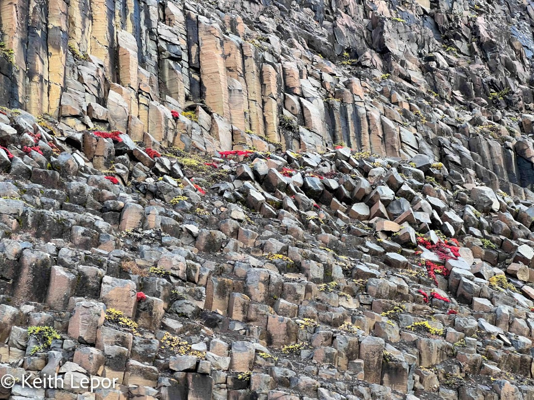 PLA12-24, Day 3,  IMG_0798-2 © Keith Lepor - Oceanwide Expeditions.jpg