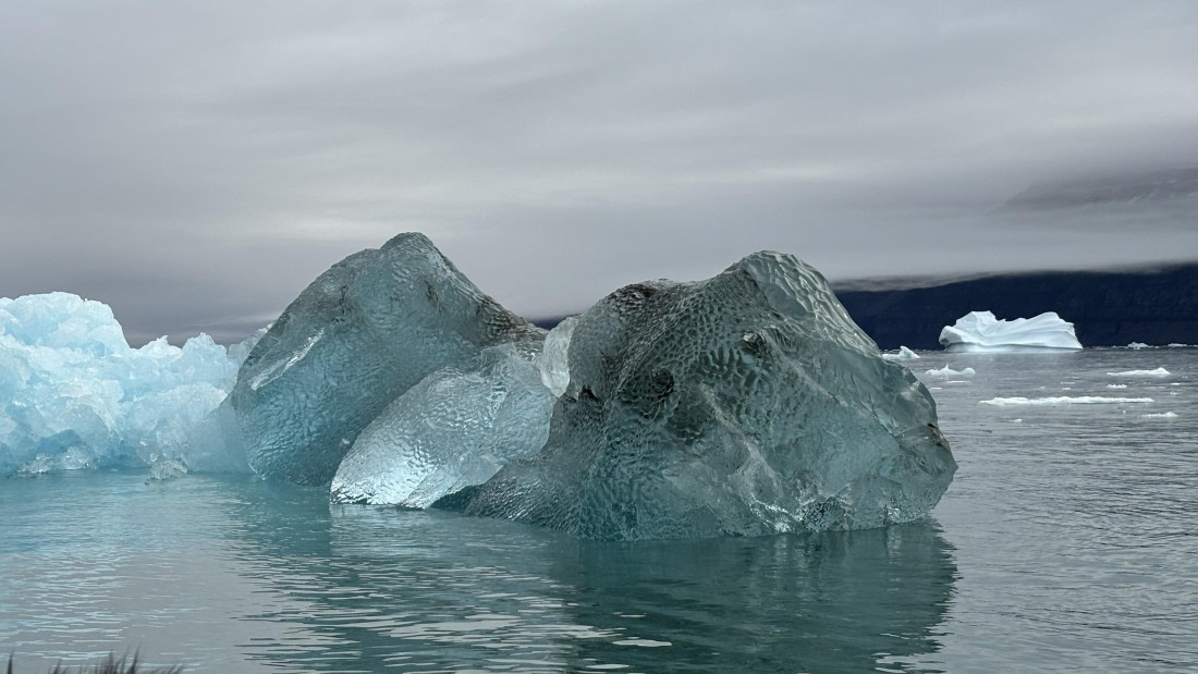 PLA12-24, Day 3,  IMG_E6333_© Ursula Tscherter © Ursula Tscherter - Oceanwide Expeditions.jpg