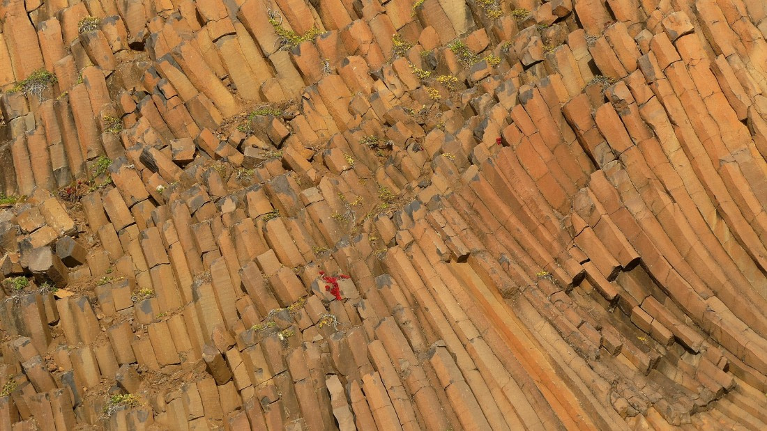 PLA12-24, Day 3,  P1580703 16 x 9 © Unknown photographer - Oceanwide Expeditions.JPG