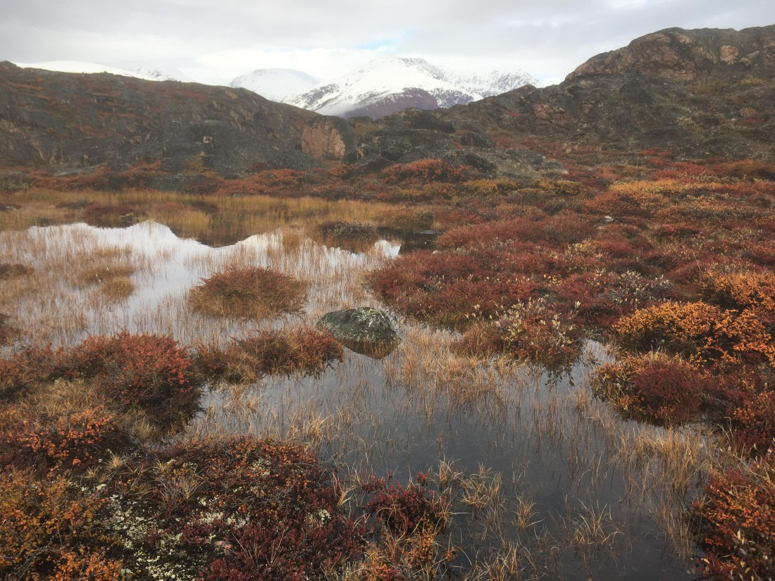 PLA12-24, Day 4,  IMG_1228 © Keith Lepor - Oceanwide Expeditions.JPG