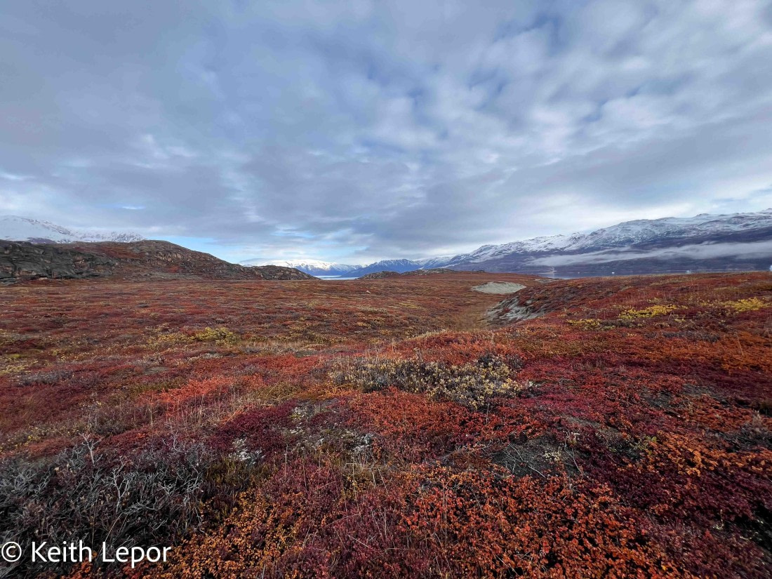PLA12-24, Day 4,  IMG_1367-2 © Keith Lepor - Oceanwide Expeditions.jpg