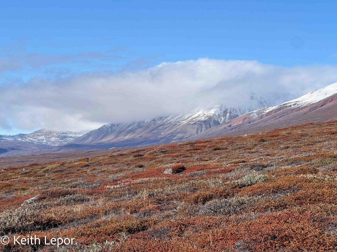 PLA12-24, Day 4,  IMG_1531-3 © Keith Lepor - Oceanwide Expeditions.jpg