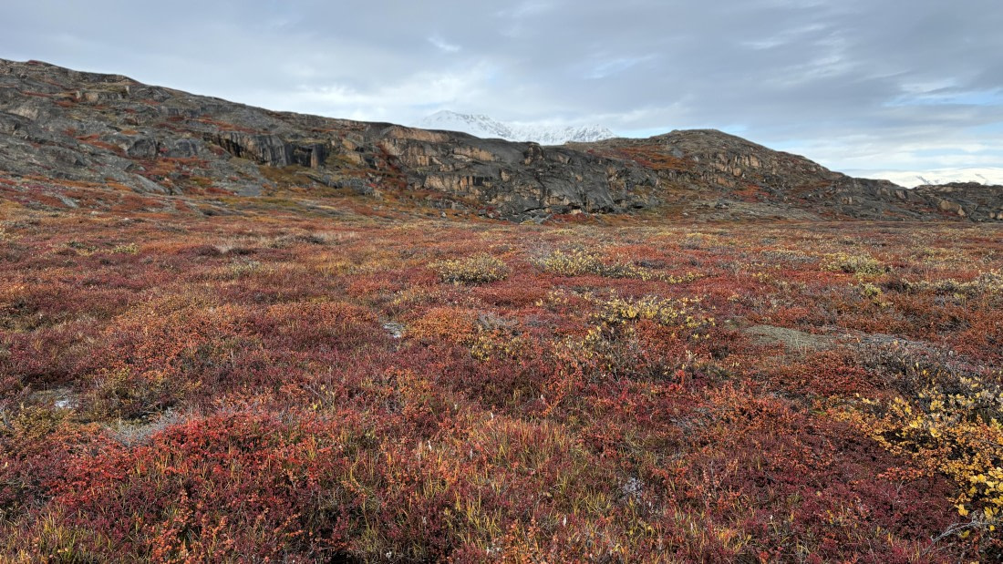 PLA12-24, Day 4,  IMG_E6491_© Ursula Tscherter © Ursula Tscherter - Oceanwide Expeditions.jpg