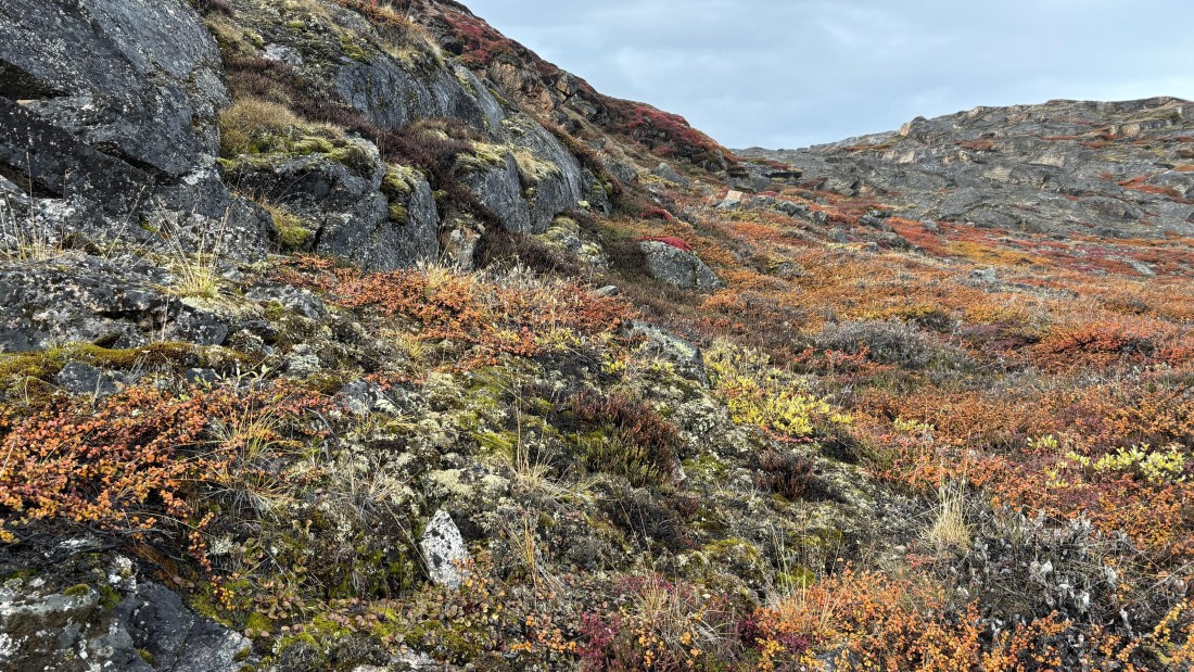 PLA12-24, Day 4,  IMG_E6492_© Ursula Tscherter © Ursula Tscherter - Oceanwide Expeditions.jpg