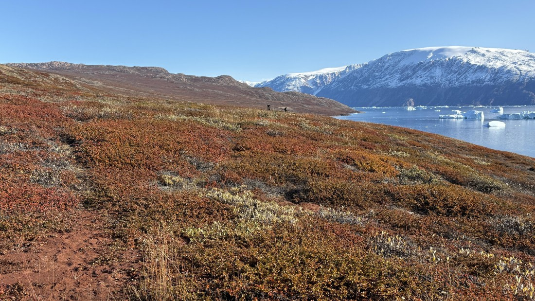 PLA12-24, Day 4,  IMG_E6553_© Ursula Tscherter © Ursula Tscherter - Oceanwide Expeditions.jpg