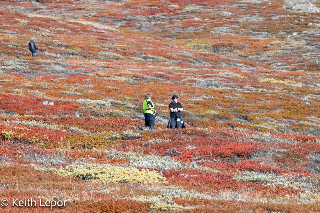 PLA12-24, Day 4,  KL1_1572 © Keith Lepor - Oceanwide Expeditions.jpg