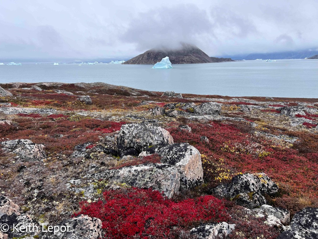 PLA12-24, Day 5,  IMG_2117-3 © Keith Lepor - Oceanwide Expeditions.jpg