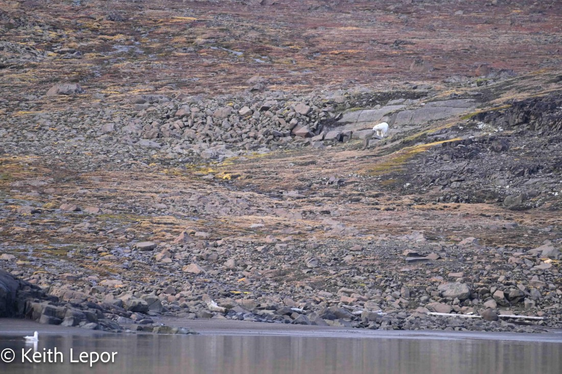 PLA12-24, Day 7,  img_3260c © Keith Lepor - Oceanwide Expeditions.jpg