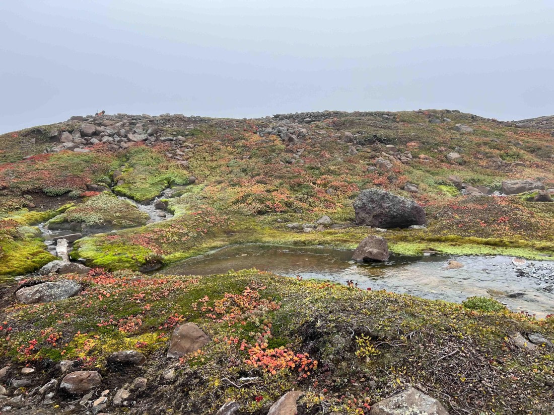 PLA12-24, Day 7,  IMG_3823 © Unknown photographer - Oceanwide Expeditions.jpg