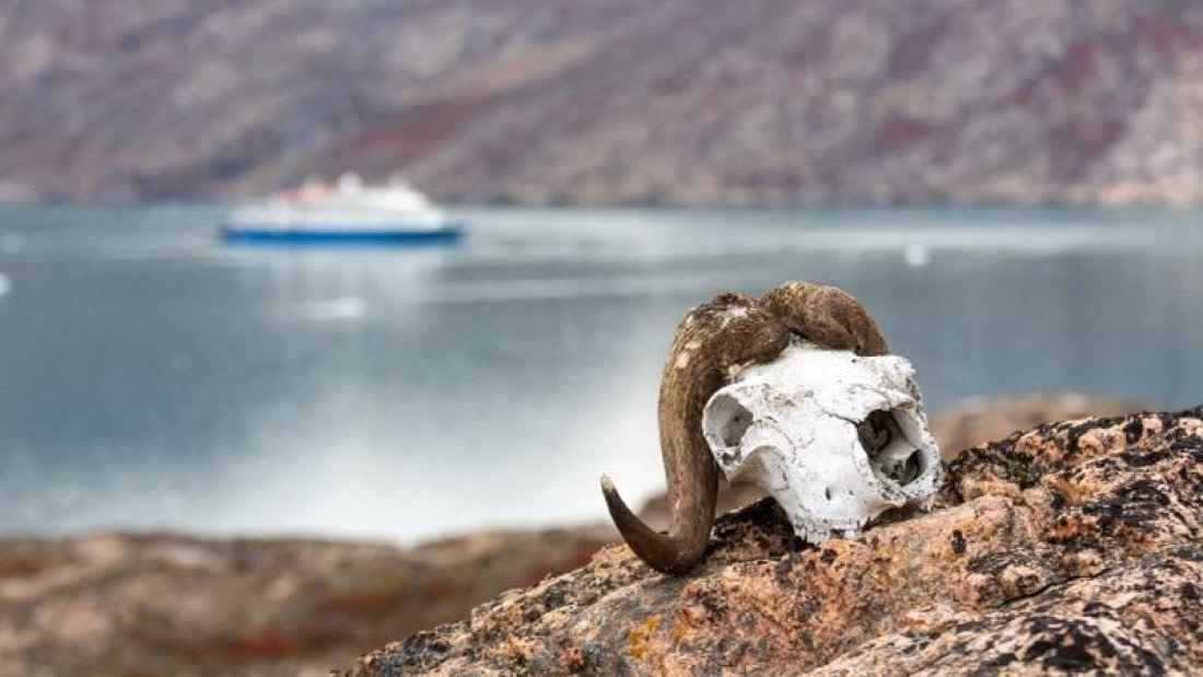 OTL11-24, Day 8,  Picture17 © Unknown photographer - Oceanwide Expeditions.jpg