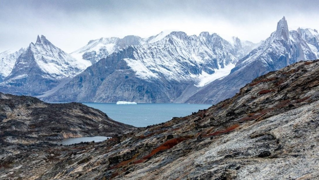 OTL11-24, Day 11,  Picture28 © Unknown photographer - Oceanwide Expeditions.jpg