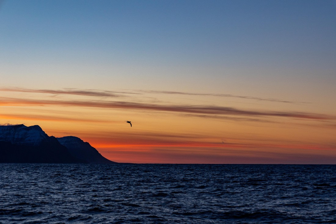 OTL12-24, Day 1,  095A4143 © Martin Anstee - Oceanwide Expeditions.jpg